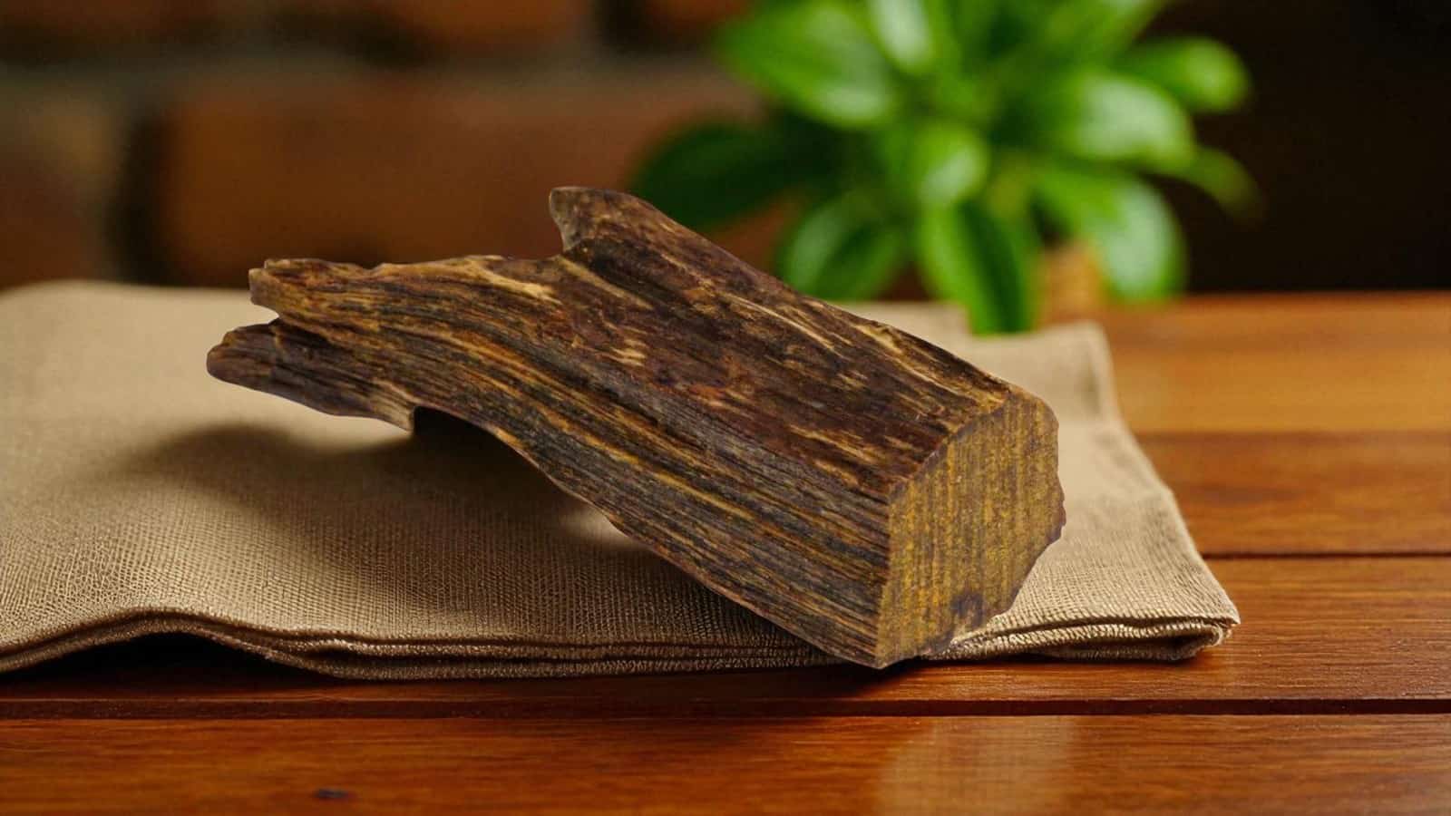 ما هو العود الطبيعي الأصيل