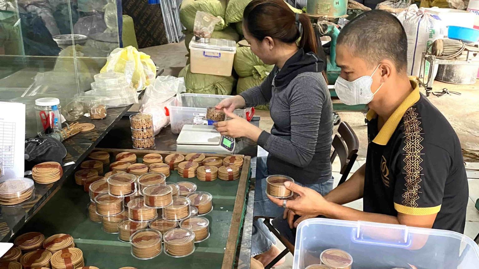 Vùng nguyên liệu trầm hương