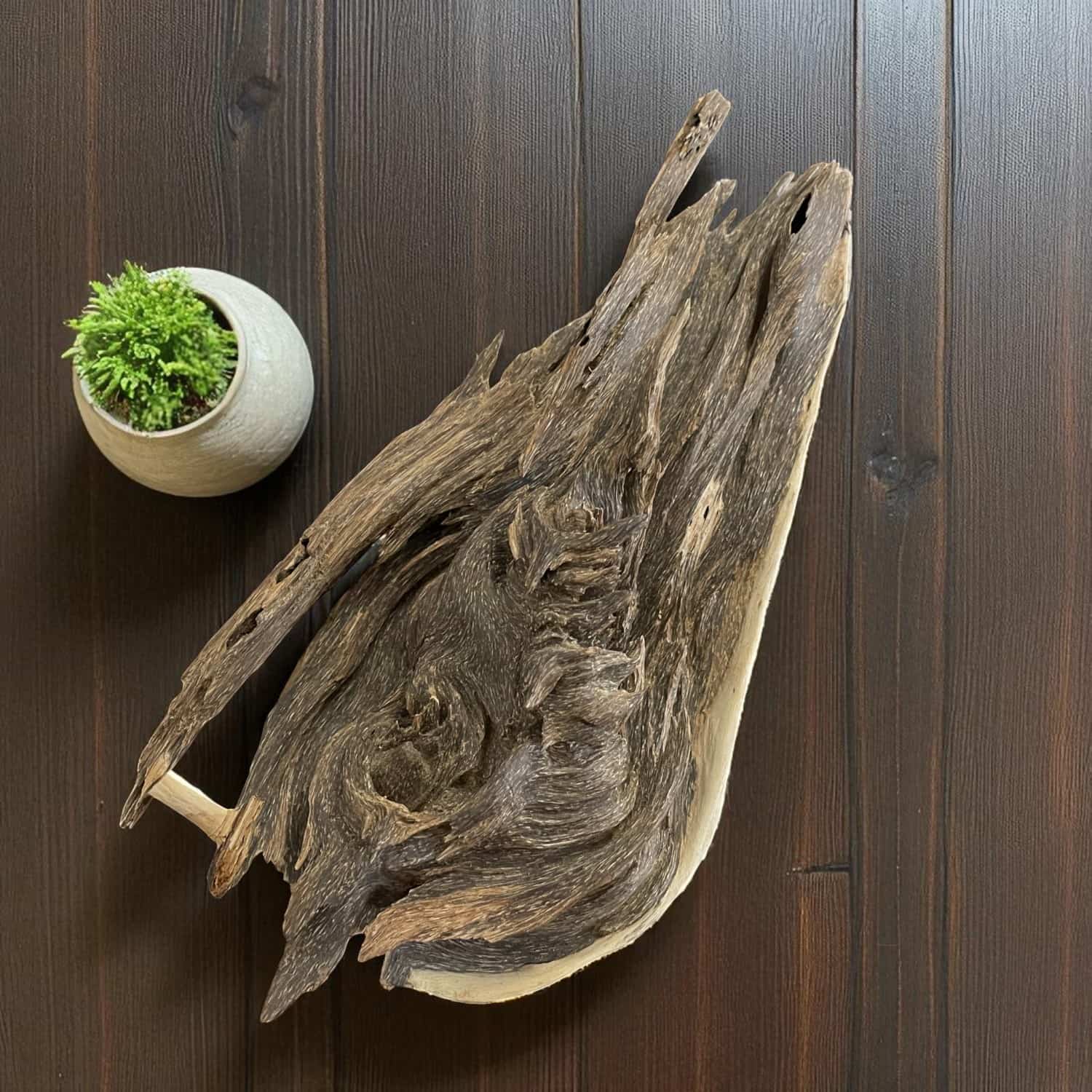 bonsai-tram-canh-mac-tu-tu-nhien-hoa-tu-linh-son-02-jpg