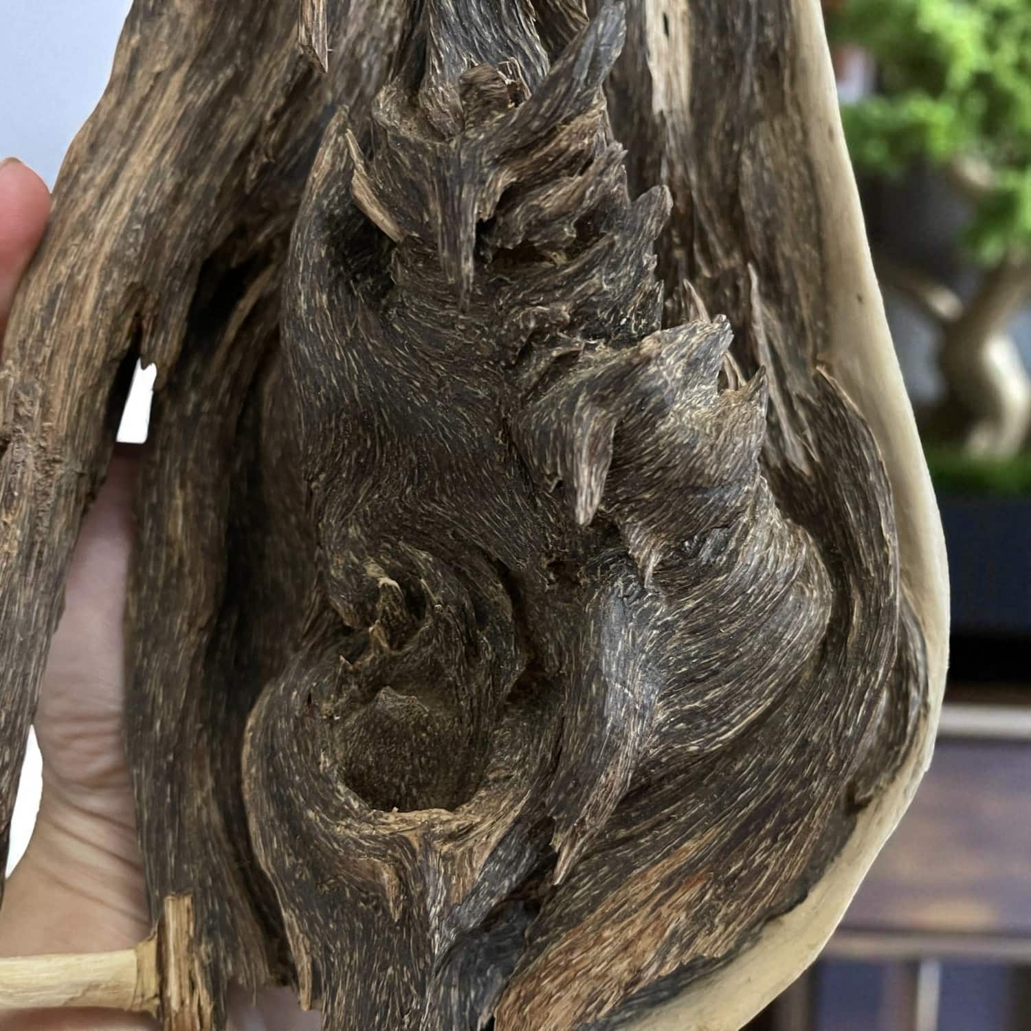 bonsai-tram-canh-mac-tu-tu-nhien-hoa-tu-linh-son-03-jpg