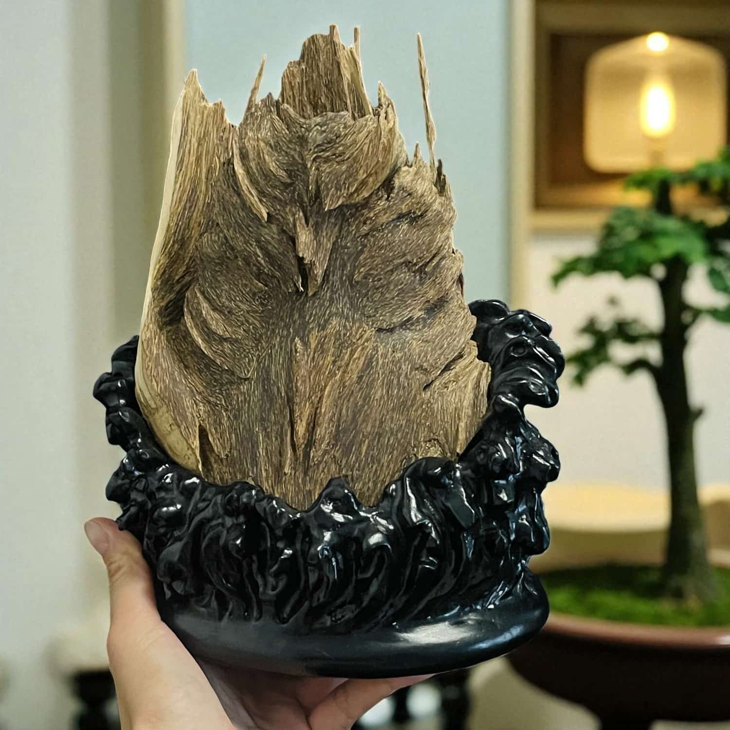 Bonsai Trầm Cảnh Linh Sơn Tụ Khí | Linh Son Natural Agarwood Bonsai
