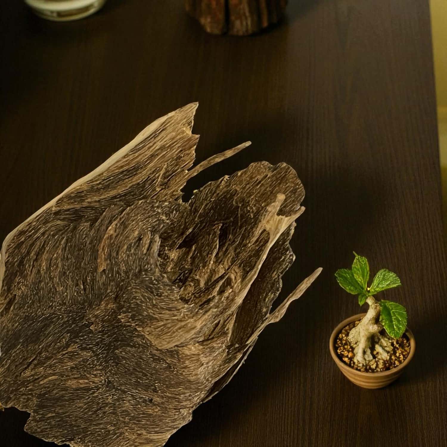 Bonsai Trầm Cảnh Linh Sơn Tụ Khí | Linh Son Natural Agarwood Bonsai Bonsai Trầm Cảnh Linh Sơn Tụ Khí – Trầm hương mắc tử tự nhiên thượng hạng | Linh Son Agarwood Bonsai – Premium Natural Agarwood Sculpture