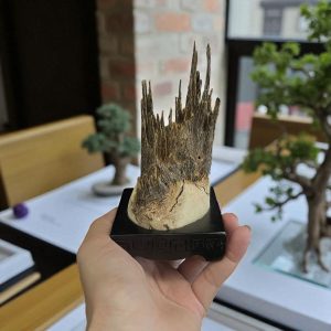 Bonsai Trầm Cảnh Tự Nhiên Thiên Sơn Lập Đỉnh Tpqnm05 Cao Cấp – Hương Trầm Đất Quảng | Natural Agarwood Bonsai “Thien Son Lap Dinh” Premium