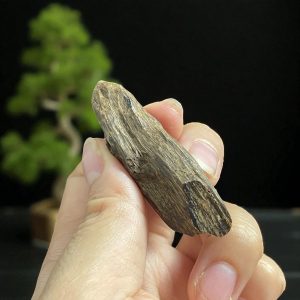 Mặt Trầm Hương Chìm Nước Tự Nhiên Brn5m01 – Hương trầm ngọt sâu, quý hiếm | Natural Sinking Agarwood Pendant Brn5m01 – Deep Sweet Resin, Rare