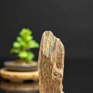 Mặt Trầm Hương Chìm Nước Tự Nhiên Brn5m01 – Hương trầm ngọt sâu, quý hiếm | Natural Sinking Agarwood Pendant Brn5m01 – Deep Sweet Resin, Rare