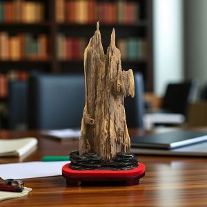 Bonsai Trầm Cảnh Tự Nhiên “Thiên Hỏa Thăng Long” Hueqnm41