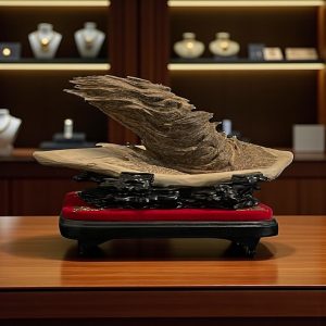 Bonsai Trầm Hương Mắc Tử Kỳ Đà Trấn Trạch Tpqnm65 Thượng Hạng (Premium Natural Agarwood Bonsai – Guardian Lizard Form)